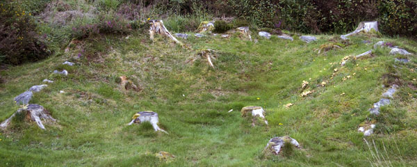Fulacht Fiadh,Bonane Heritage Park