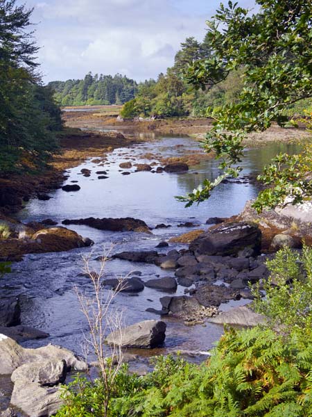 Lauragh,Beara Peninsula,Sea,Rocks
