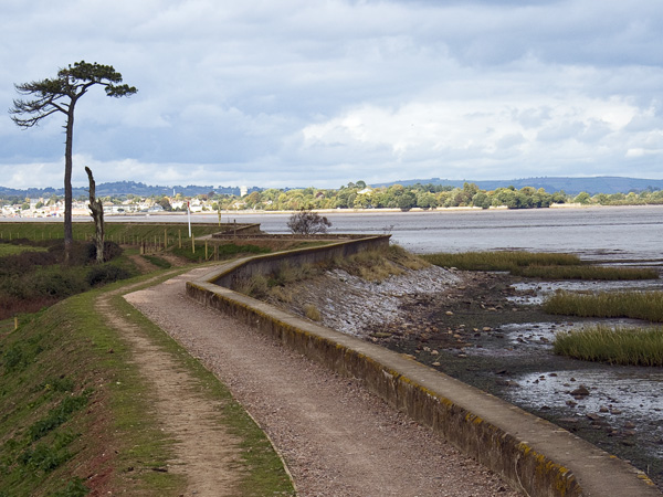 Riverside Path,Powderham,River Exe