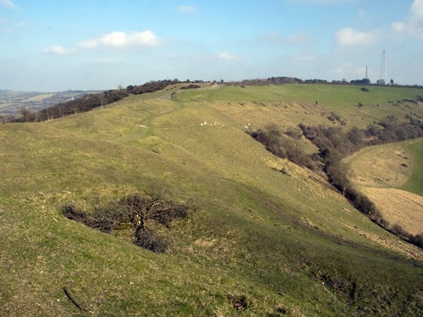 Bulbarrow,Hill
