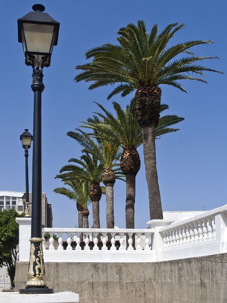 War Memorial Steps,Palm Trees