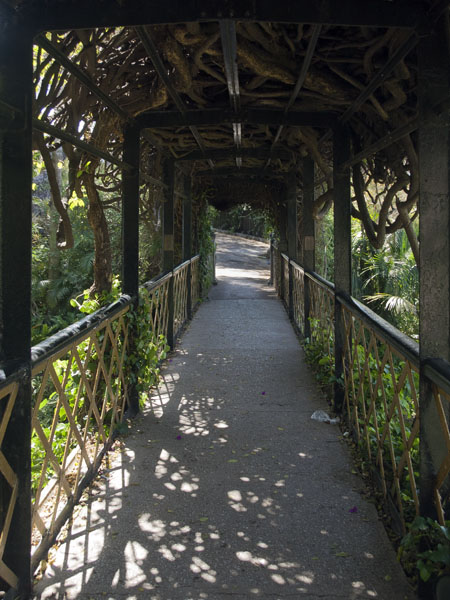 Bridge,Alameda Gardens