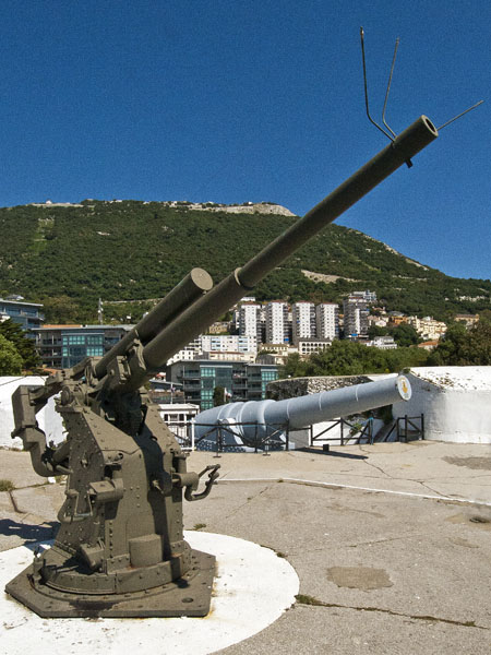 Anti-aircraft Gun,100 Ton Gun,Napier of Magdala Battery