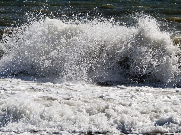 Wave,Seatown
