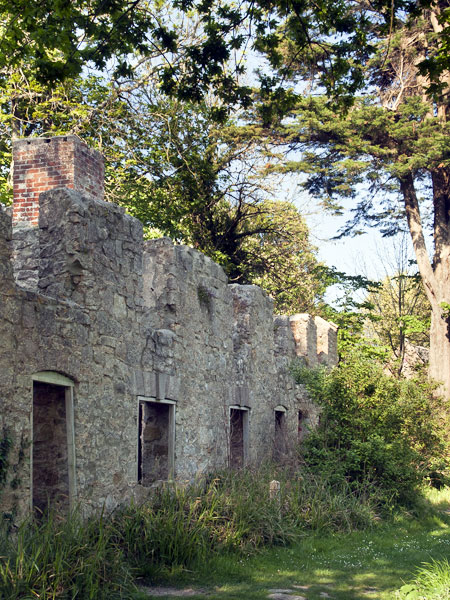 Tyneham,Tynham,Ruined Cottages
