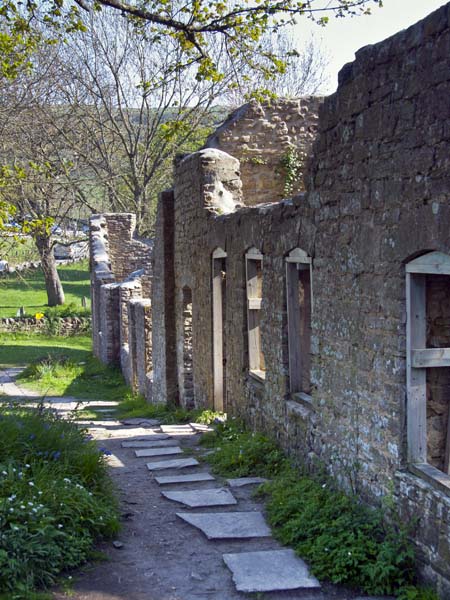 Tyneham,Tynham,Ruined Cottages