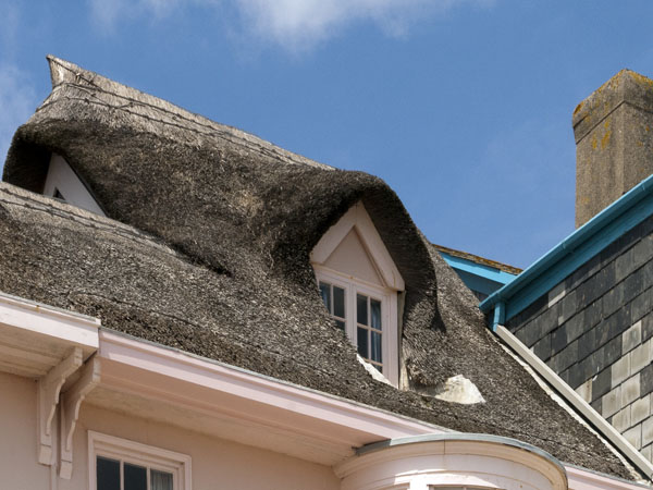 Thatched Roof,Lyme Regis,Houses