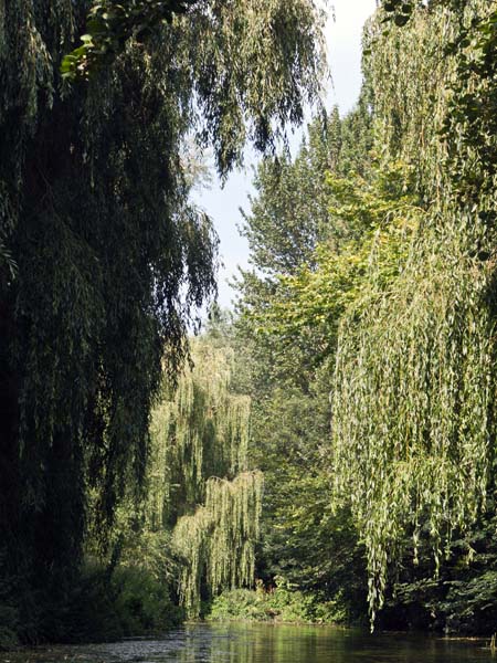 River Stour,Canterbury