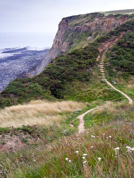 Coastal Path,Runswick,Cliffs