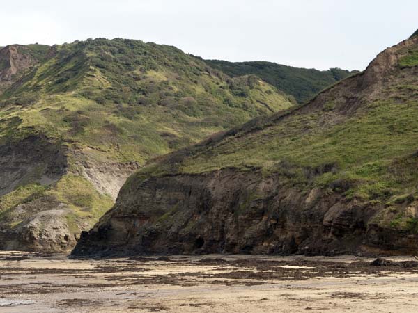 Cliffs,Runswick Bay