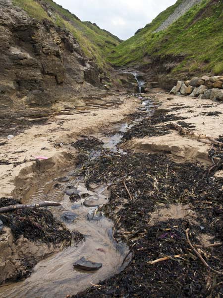 Stream,Runswick Bay,Cliffs