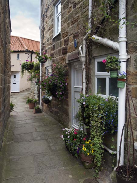 Fiddlers Green,Runswick Bay,Houses