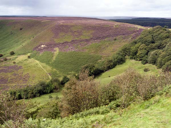 Hole of Horcum,Valley,Heather,Moors