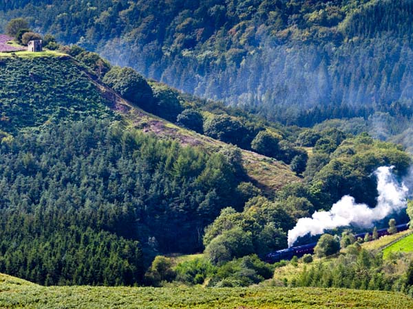 Skelton Tower,92214 Cock O' The North,Newtondale,NYMR,North Yorkshire Moors Railway