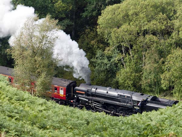 92214 Cock O' The North,Newtondale,NYMR,North Yorkshire Moors Railway