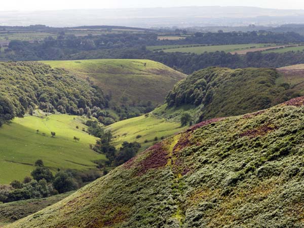 Hole of Horcum,Valley,Moors