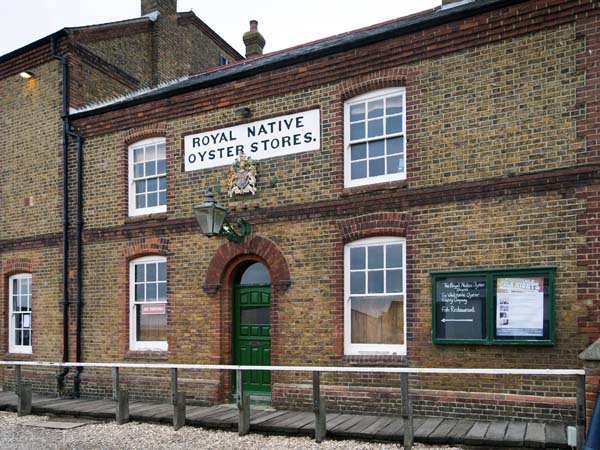 Royal Native Oyster Stores,Whitstable,Houses
