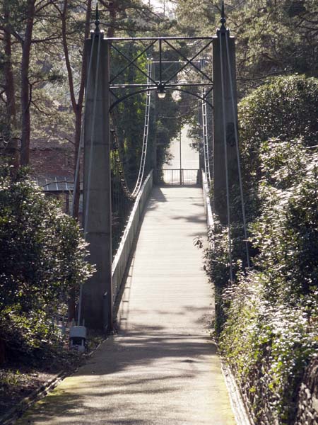 Middle Chine,Suspension,Bridge