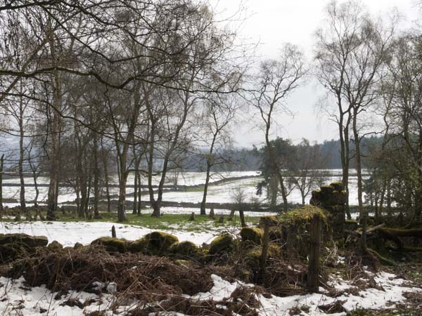 Black Rocks,Middleton by Wirksworth