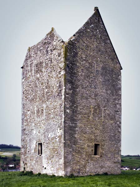Dovecote,Bruton,Ruins