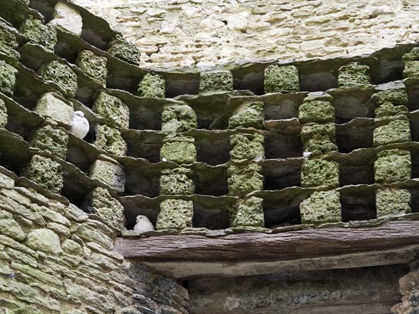 Dovecote,Bruton,Ruins