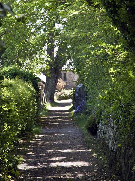Old Town,Church,Path,St Mary's