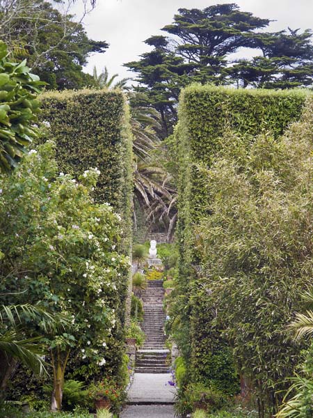 Neptune's Steps,Tresco Abbey Gardens