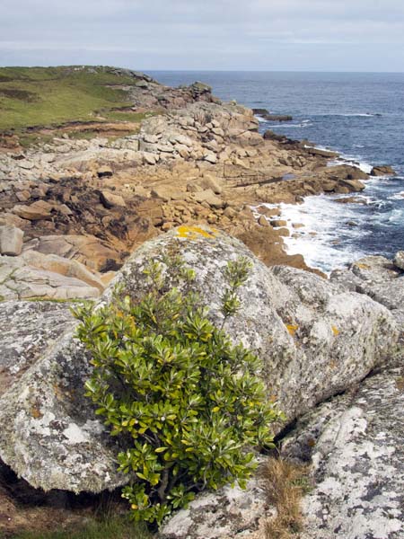 Porth Minick,St Mary's,Rocks