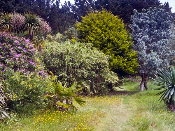 Carreg Dhu,Community Gardens,Longstone Terrace,St Mary's