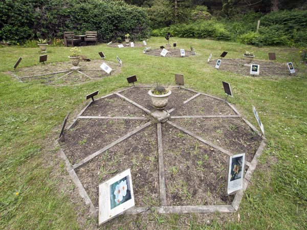 Historic Narcissus Collection,Carreg Dhu,St Mary's