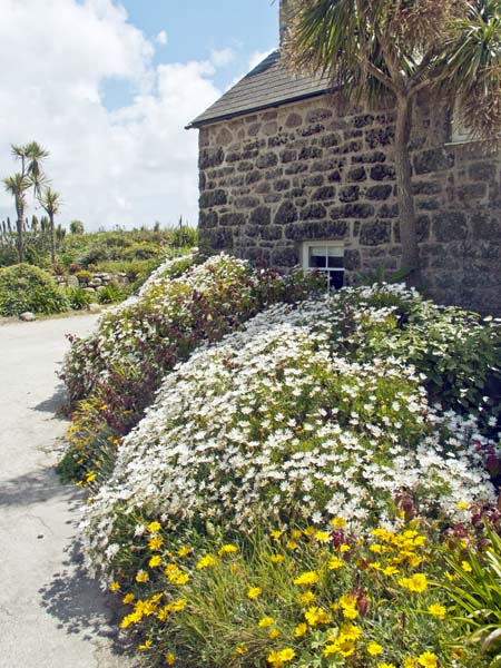 Old Grimsby,Tresco,Flowers,House