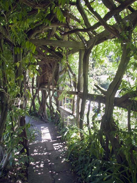 Arbour,Furzey Gardens