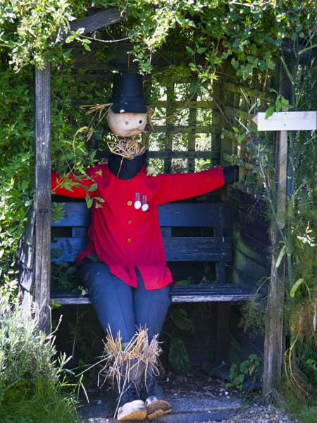 Chelsea Pensioner,Cobb Cottage,Furzey Gardens