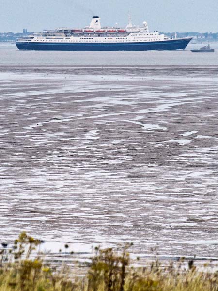 MV Marco Polo,River Thames,Grain,Ship,Cruse Liner