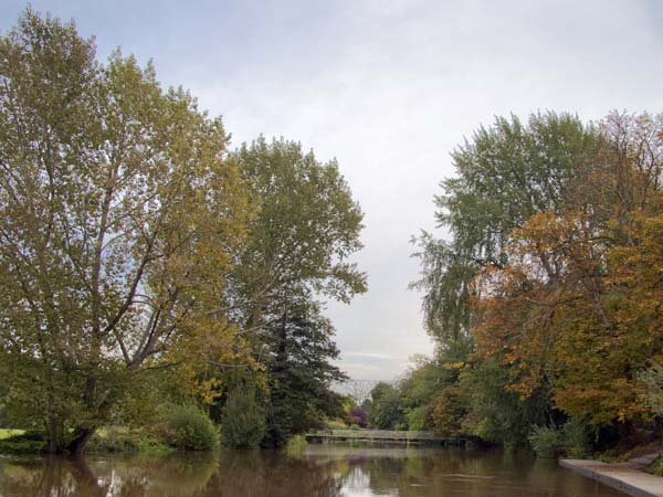 River Stour,Canford Magna,Trees