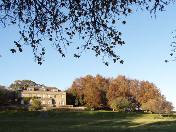 Higher Whatcombe,House,Autumn,Trees