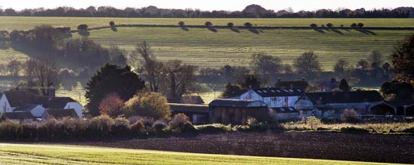 Monkton Up Wimborne,Houses