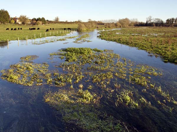 Monkton Up Wimborne,River Allen