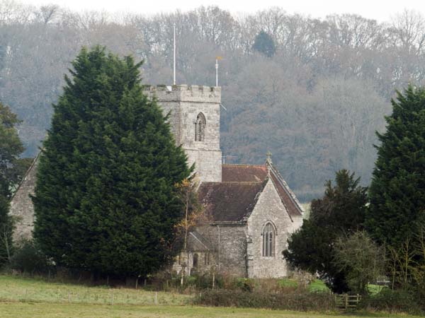 St Mary's,Church,Dinton Park,Trees