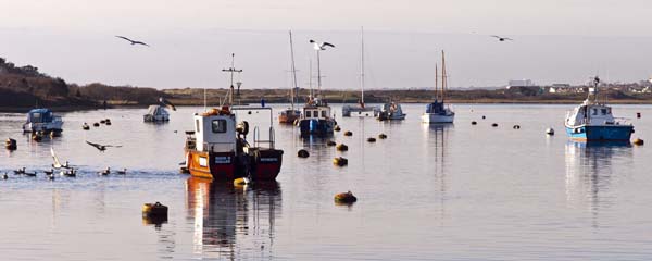 Fishing Boats,Christchurch Harbour