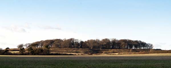 Badbury Rings,Iron Age,Hill Fort,Kingston Lacy,Trees