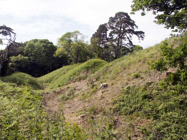 Ramparts,Cranborne Castle,Trees