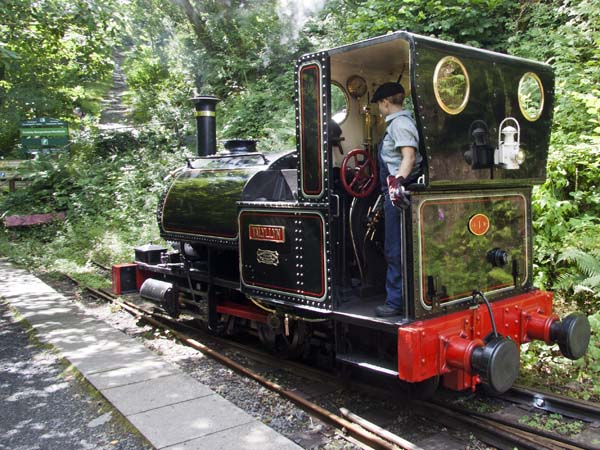 Talyllyn,Nant Gwernol,Station,Railway,Steam,Heritage,Narrow Gauge,Engine
