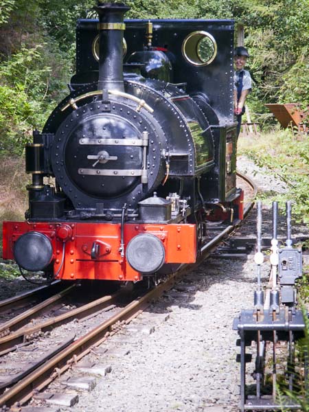 Talyllyn,Nant Gwernol,Station,Railway,Steam,Heritage,Narrow Gauge,Engine
