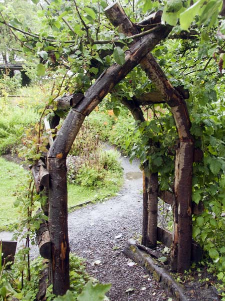 Arbor,Centre for Alternative Technology,CAT