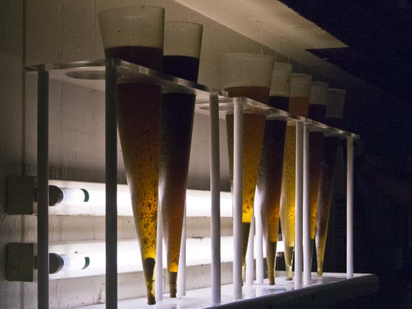 Samples,Wadworth Brewery,Devizes,Beer