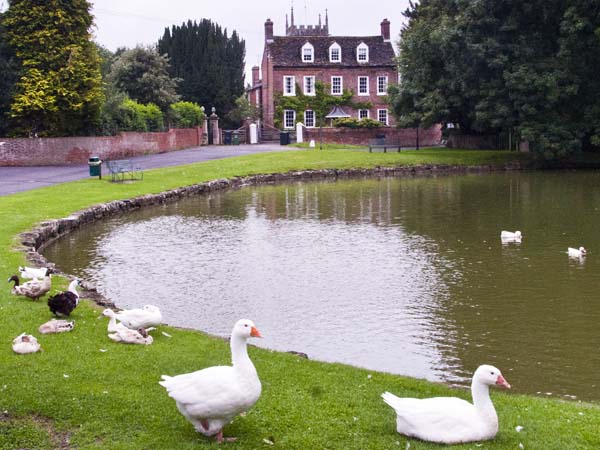 Urchfont Pond,House,Geese,Ducks,Birds