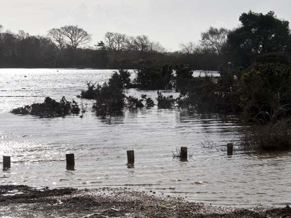 Setley Pond