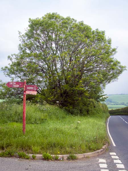 Poynington,Red Post,Sherborne