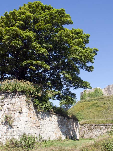 South West Bastion,Carisbrooke Castle